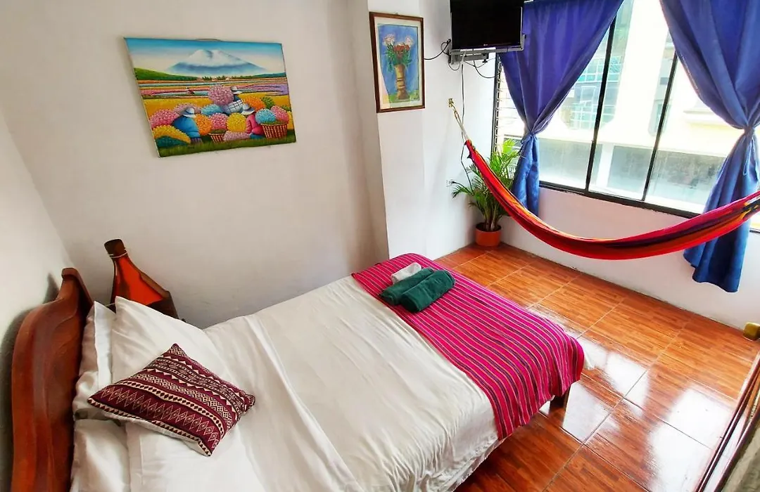 Erupcion Art Hotel & Hostel-1