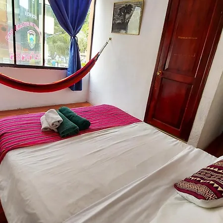 Erupcion Art Hotel & Hostel-3